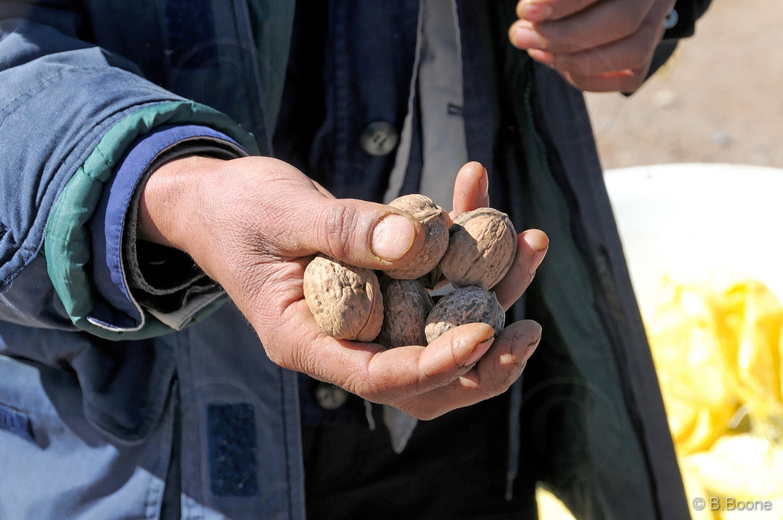 110203-1200©B.Boone