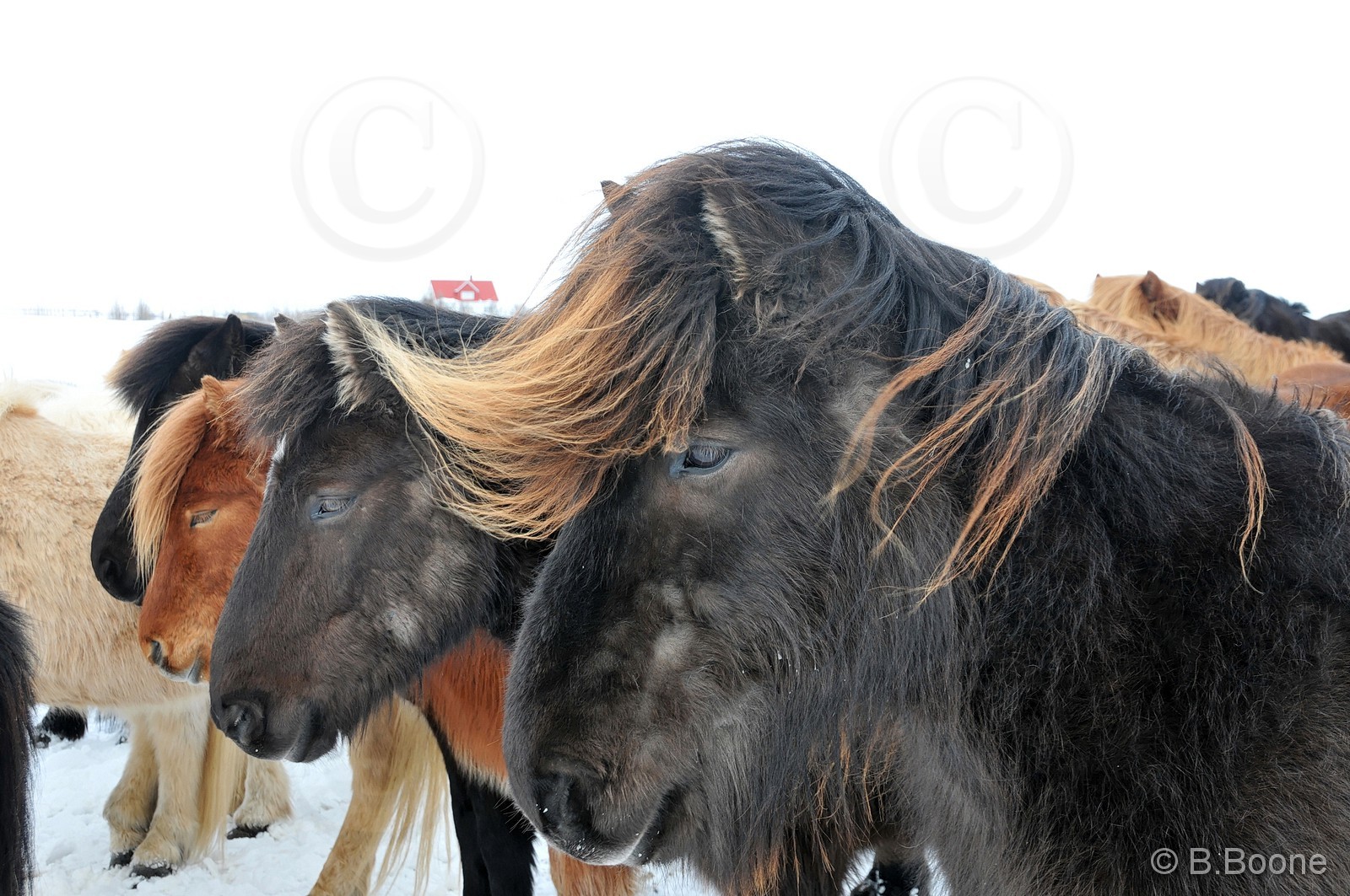 120318-320 © B.Boone