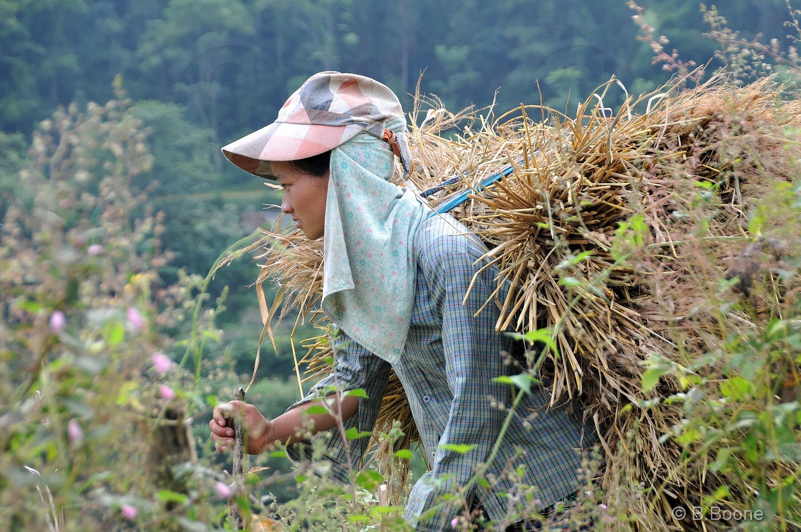 Vietnam   141006-36© B.Boone