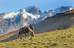 Cheval sur plateau d'Emparis
