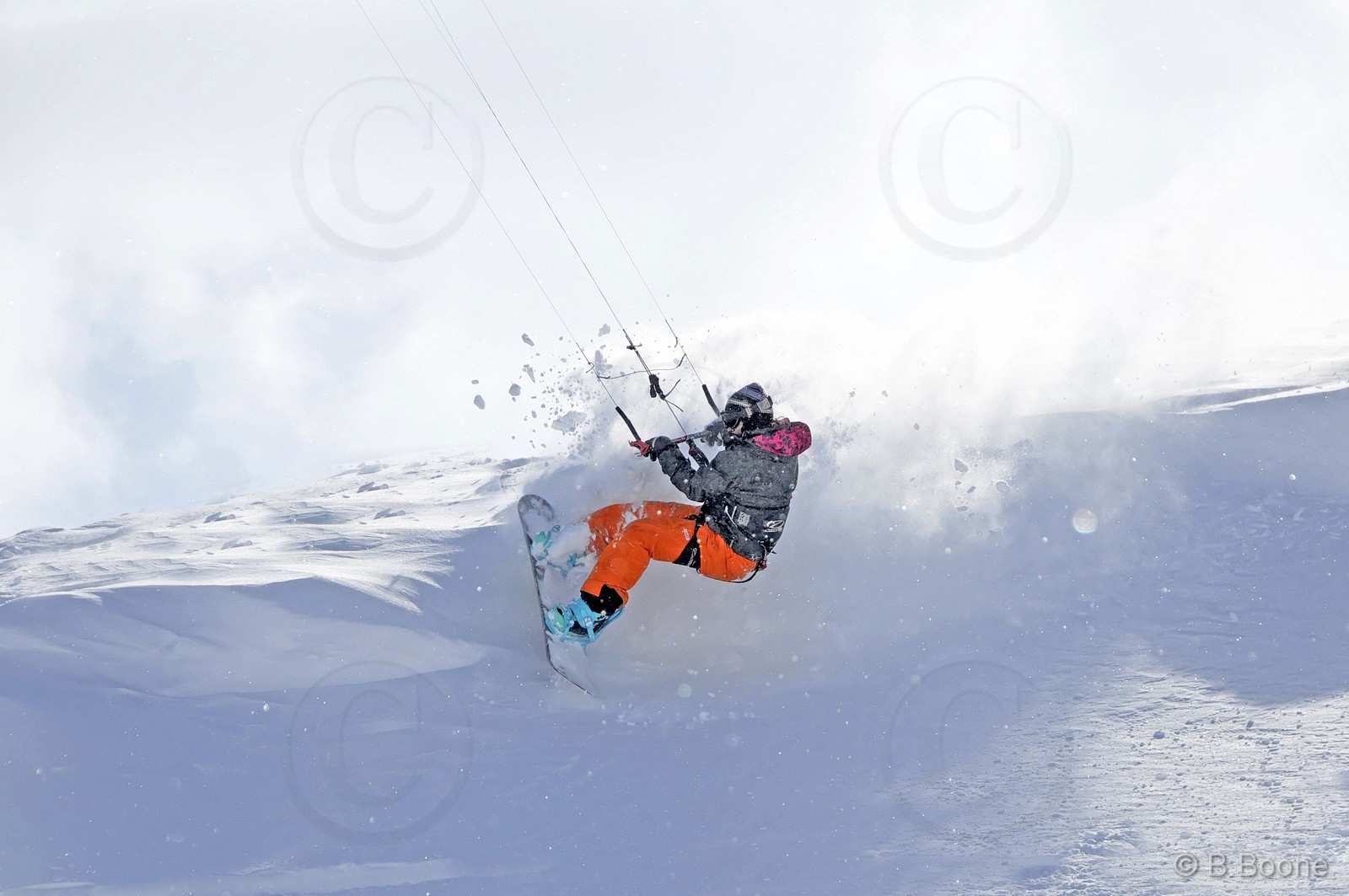 120226-0974©B.Boone