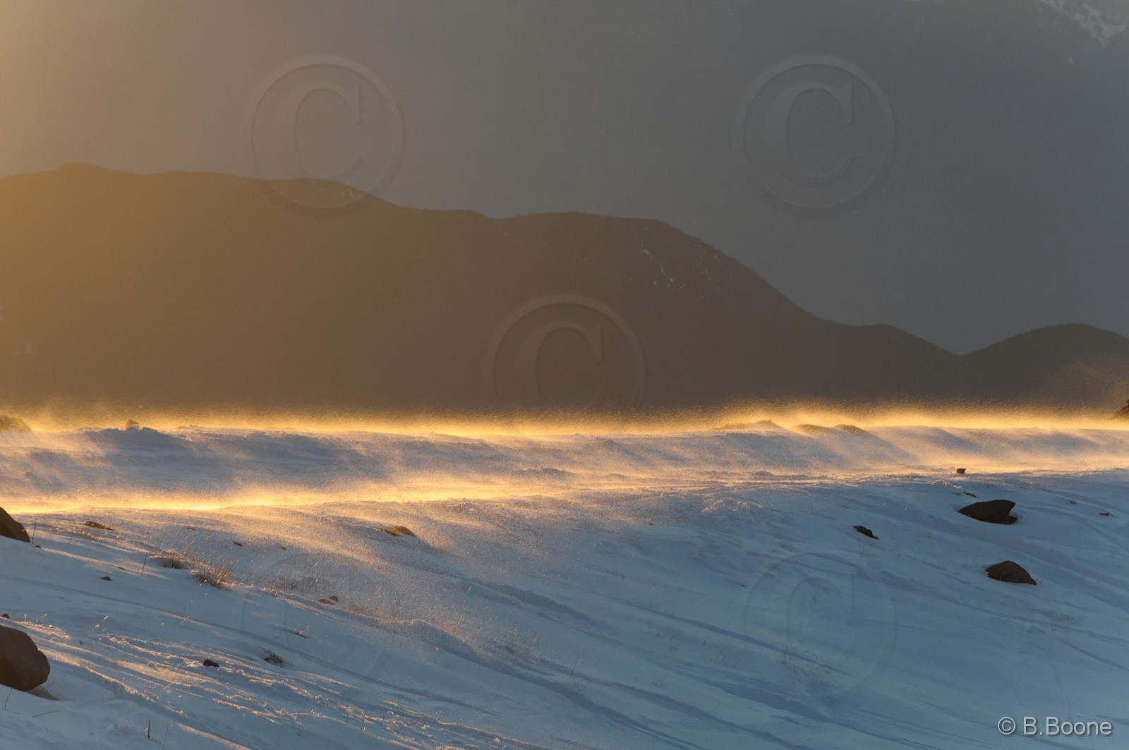 110203-1563©B.Boone