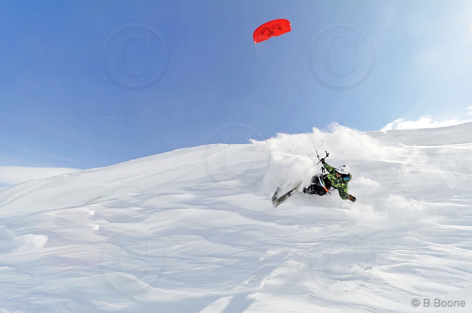 120226-1050©B.Boone