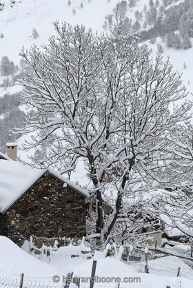 Les Hières (La Grave) - Hautes Alpes (05) - France