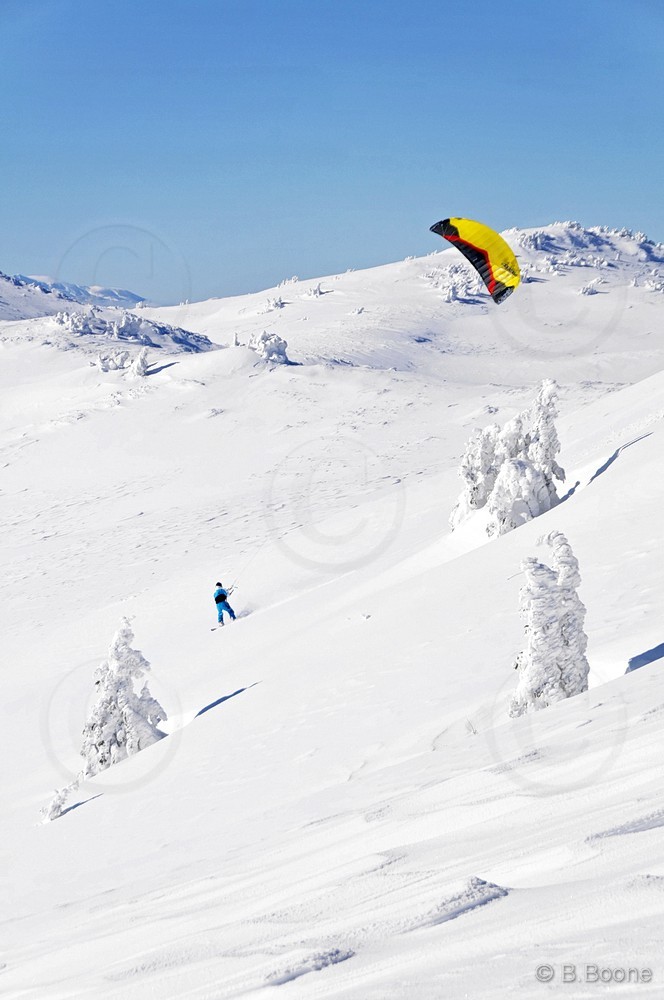 120123-0524©B.Boone