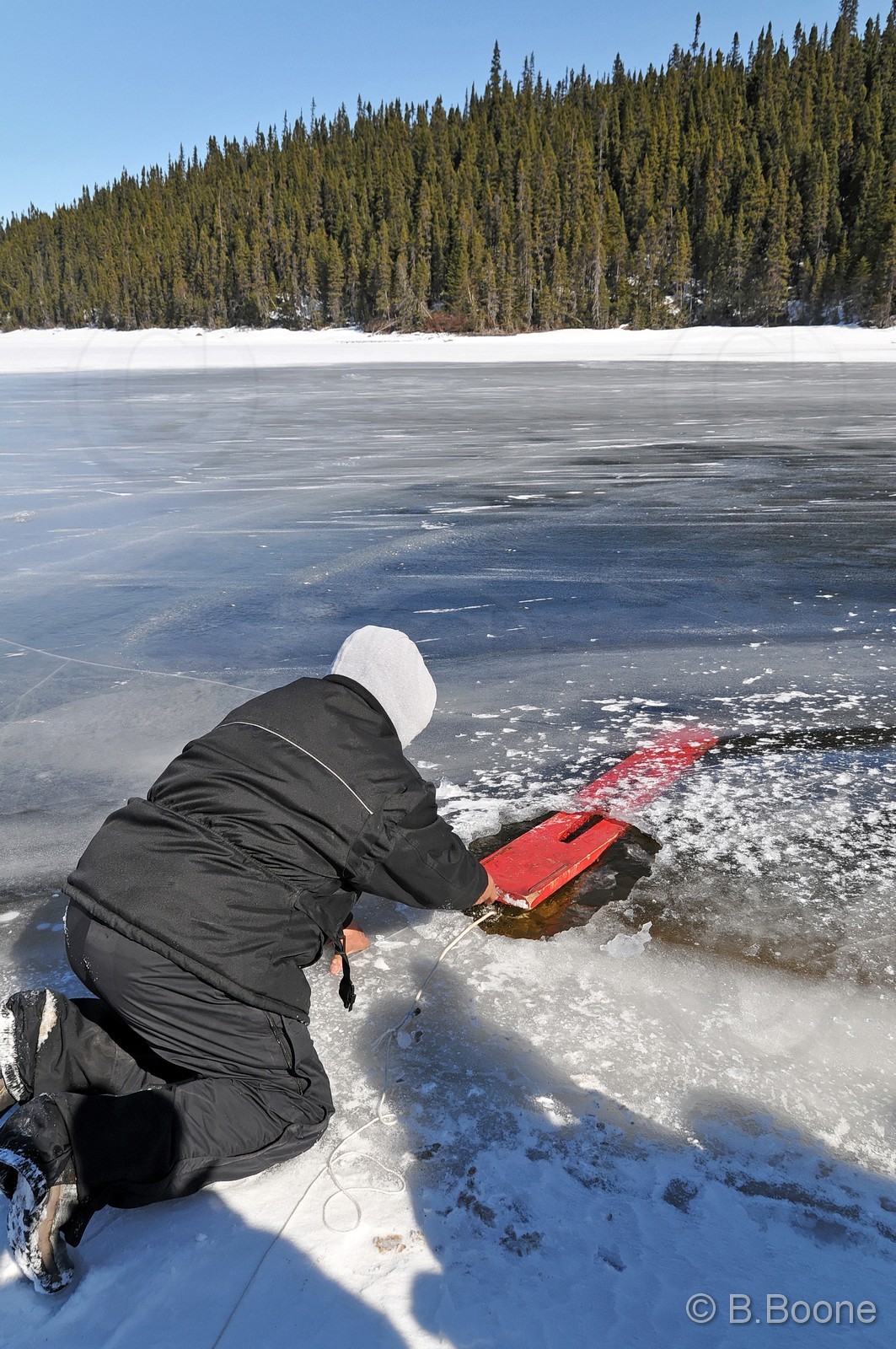 120402-0465 © B.Boone (2)