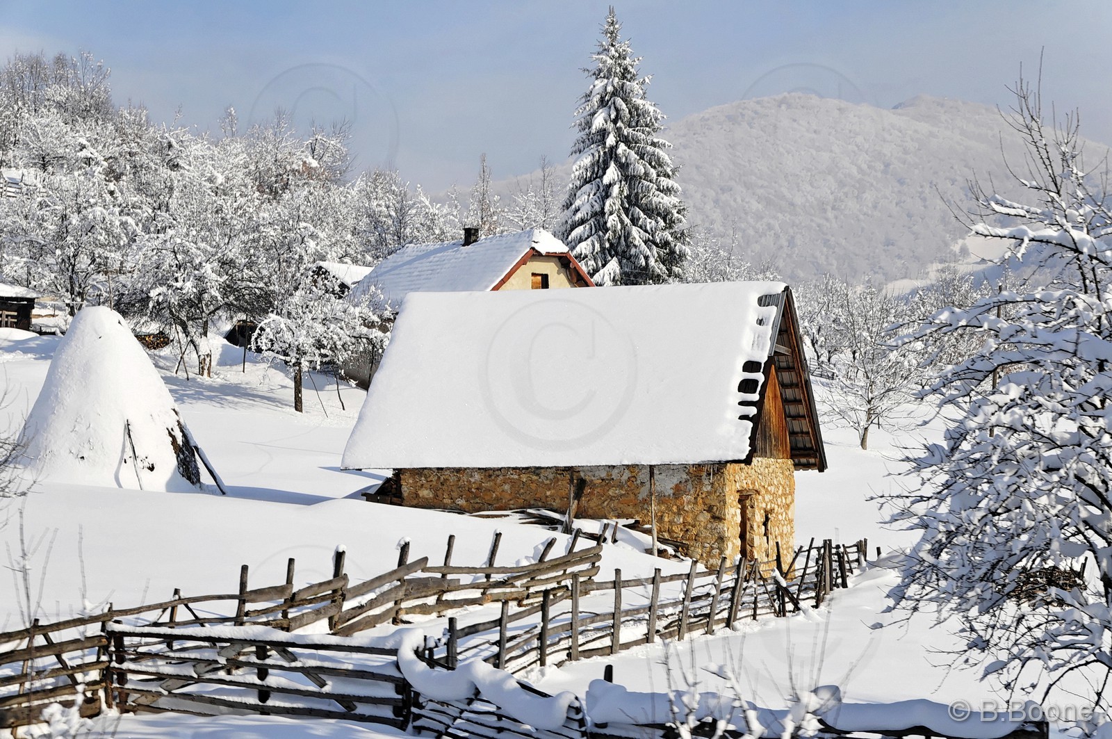 120123-1153©B.Boone