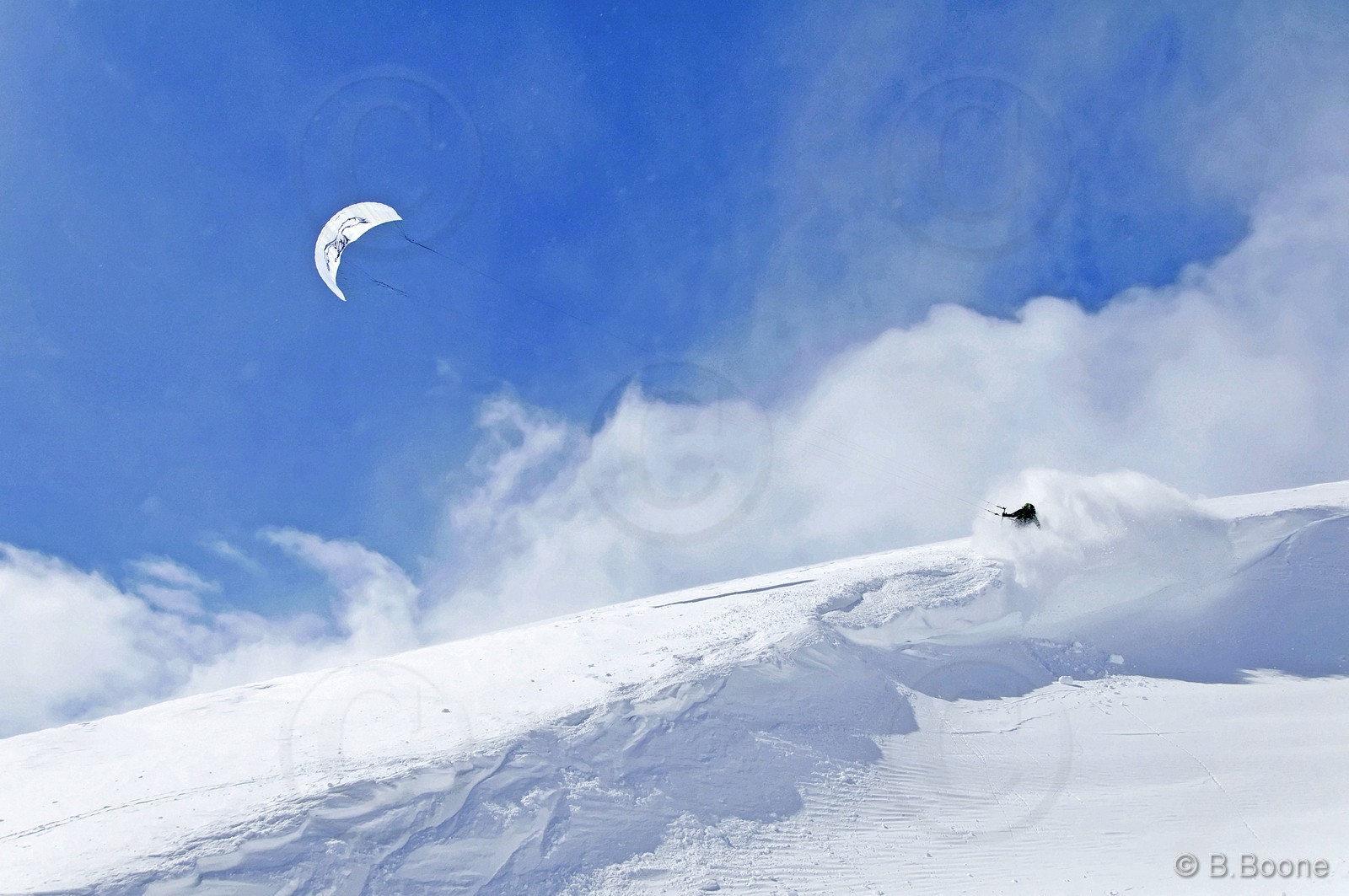 120226-0315©B.Boone