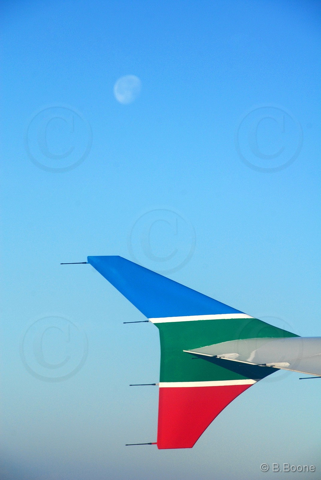 100201-137 ©B.Boone