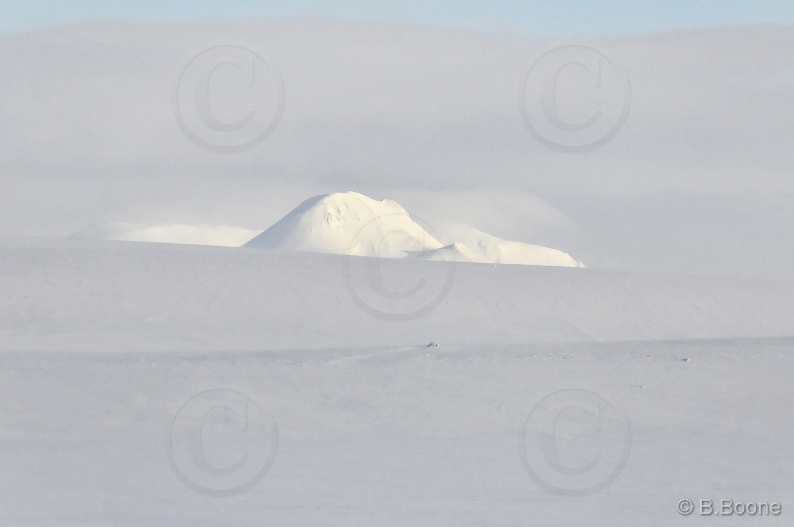 120315-010 © B.Boone