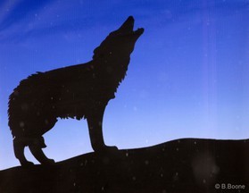 snowkite en Grece - kaimaktsalan