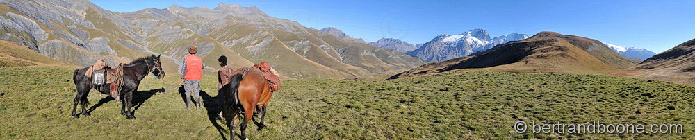 Cheval sur plateau d'Emparis