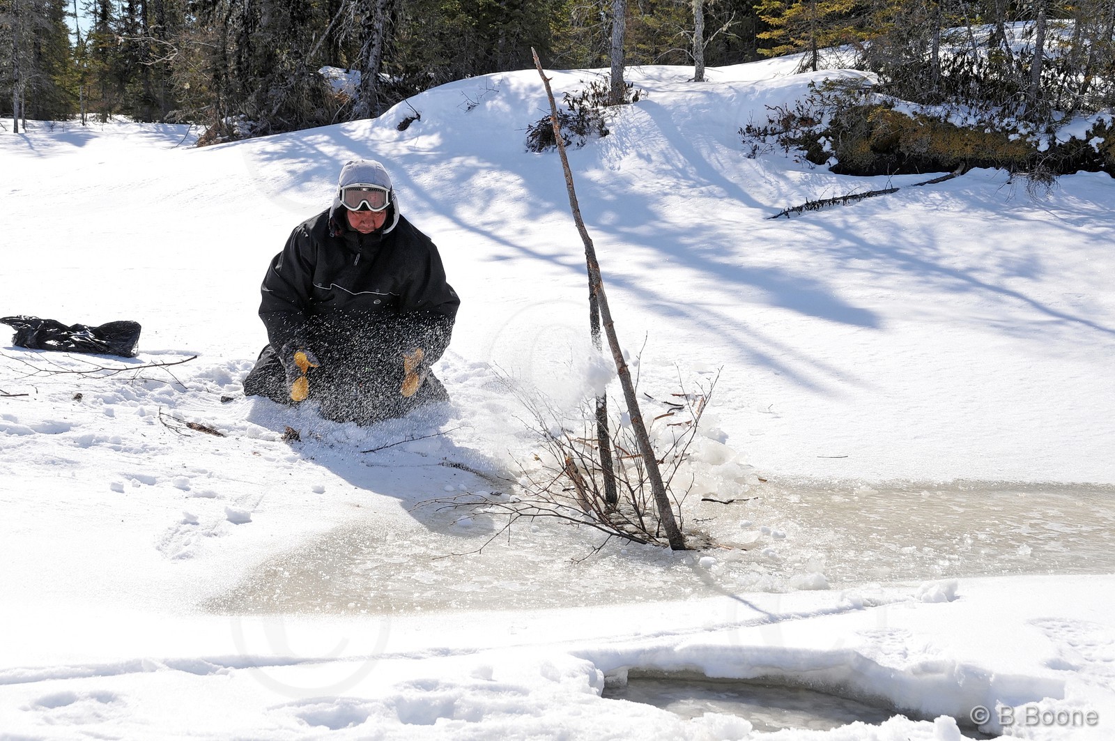 120403-042 © B.Boone