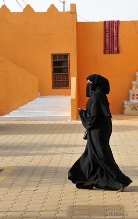 Koweit   130310-074© B.Boone