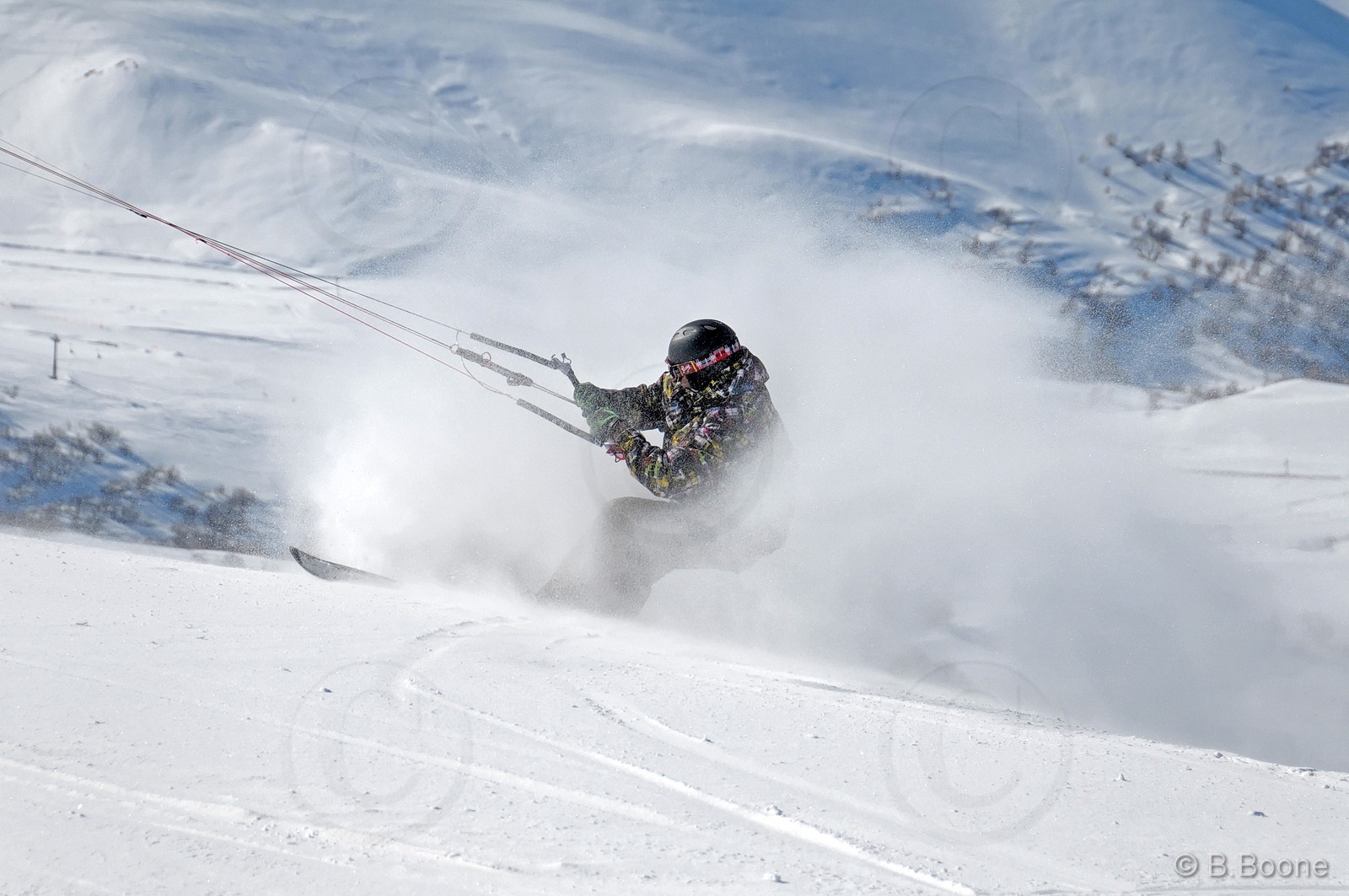 100321-0554©B.Boone