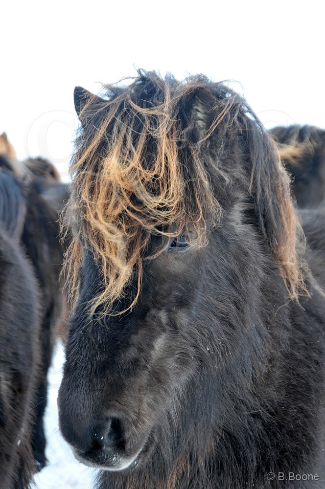 120318-316 © B.Boone