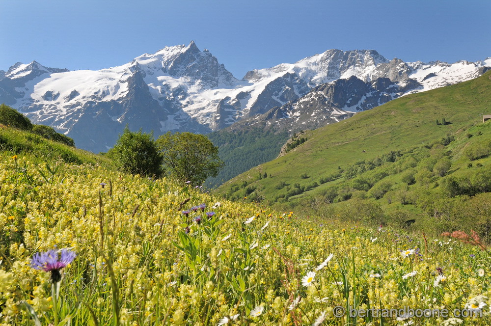La Meije et Le Rateau - 05 - Fr