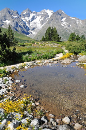Jardin alpin du Lautaret (05)