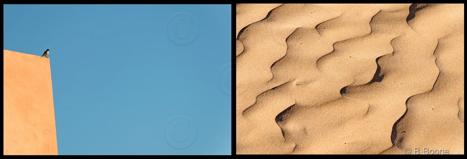 Maroc   110208-434©B.Boone