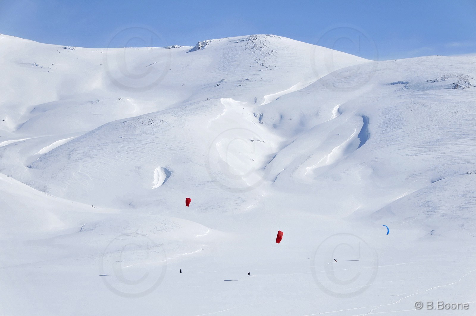 120226-0917©B.Boone