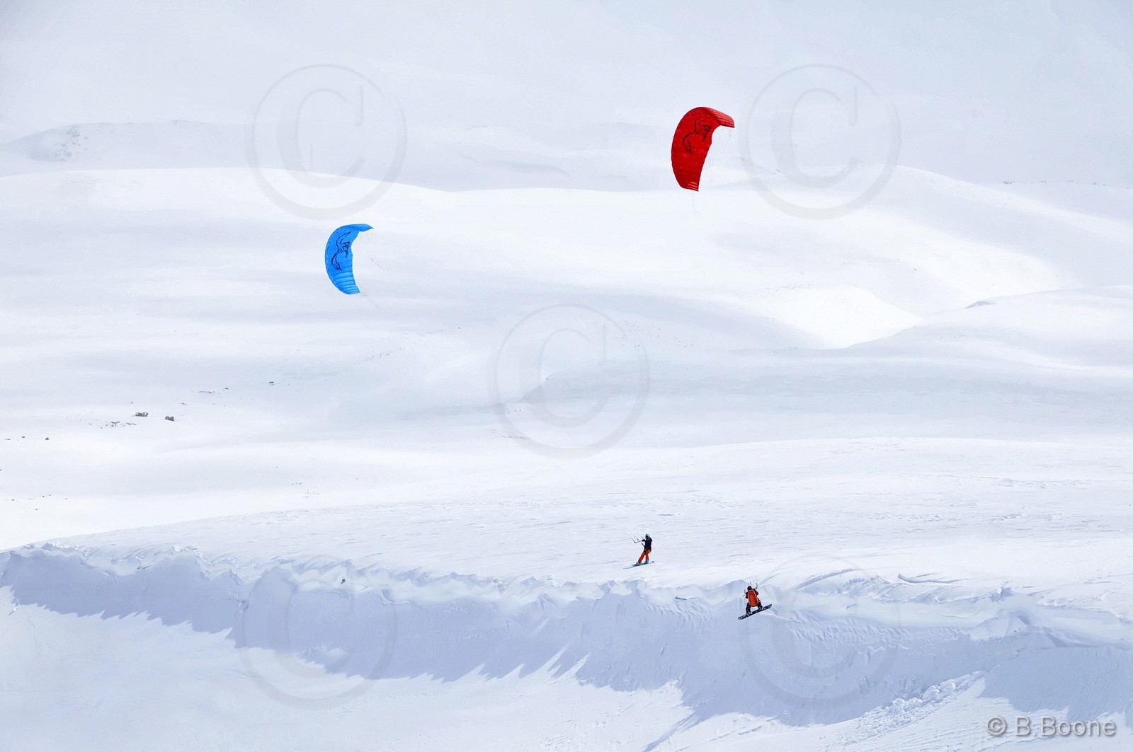 120226-0305©B.Boone