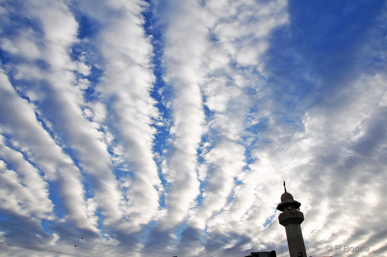 Koweit   140201-163© B.Boone