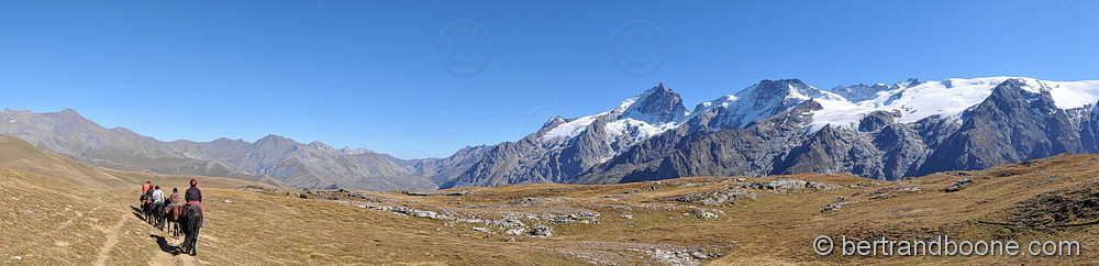Cheval sur plateau d'Emparis
