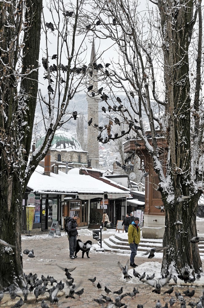 120123-0021©B.Boone