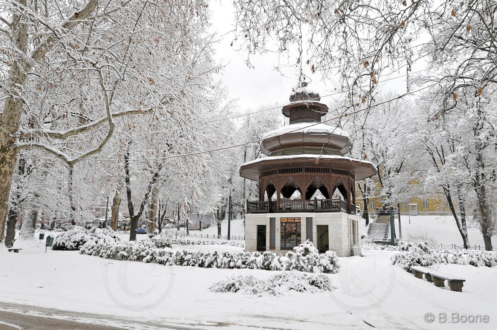 120123-0037©B.Boone