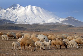 Volcano Ercyes (3916m) Turkey