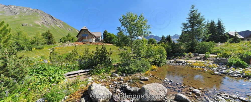 Jardin alpin du Lautaret (05)