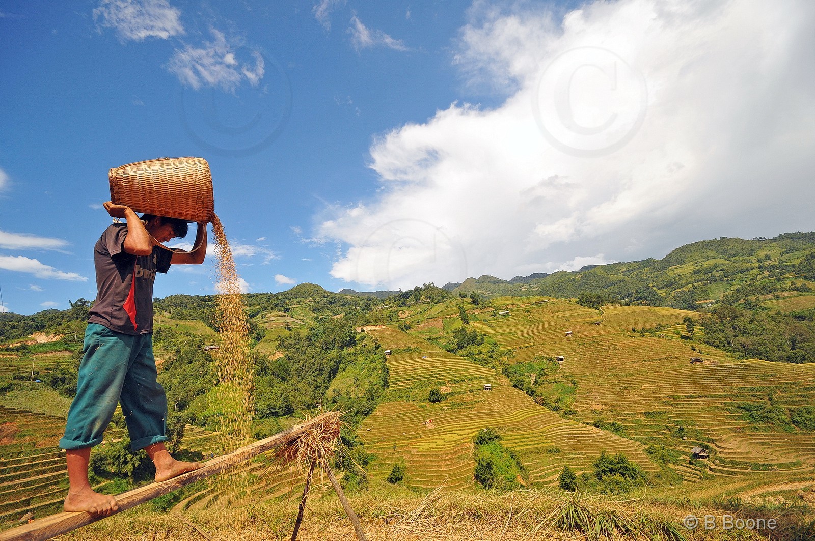 Vietnam   141003-363© B.Boone