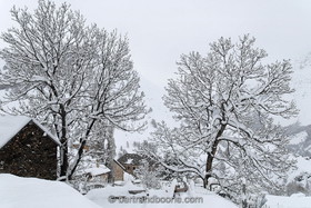Les Hières (La Grave) - Hautes Alpes (05) - France