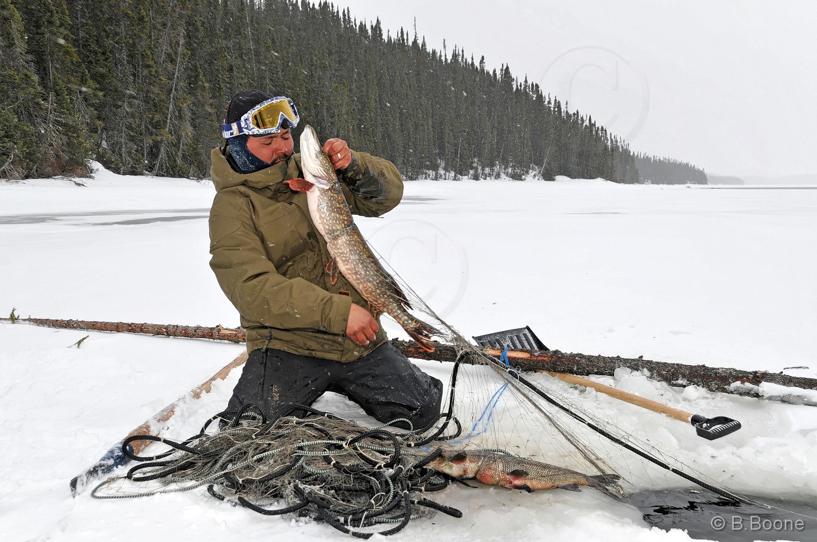 120404-710 © B.Boone