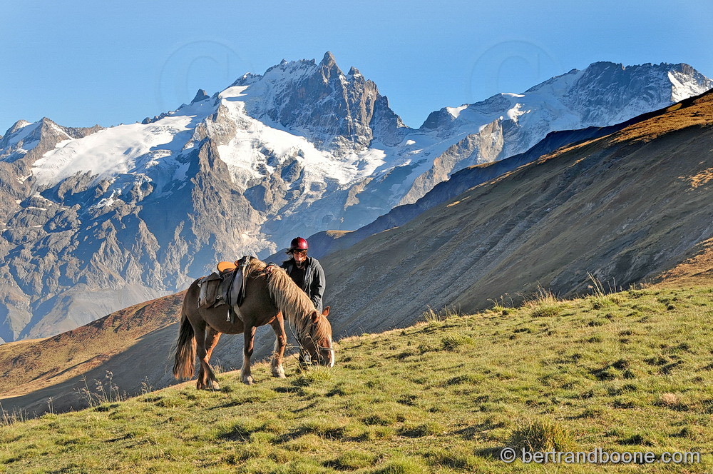 Cheval sur plateau d'Emparis