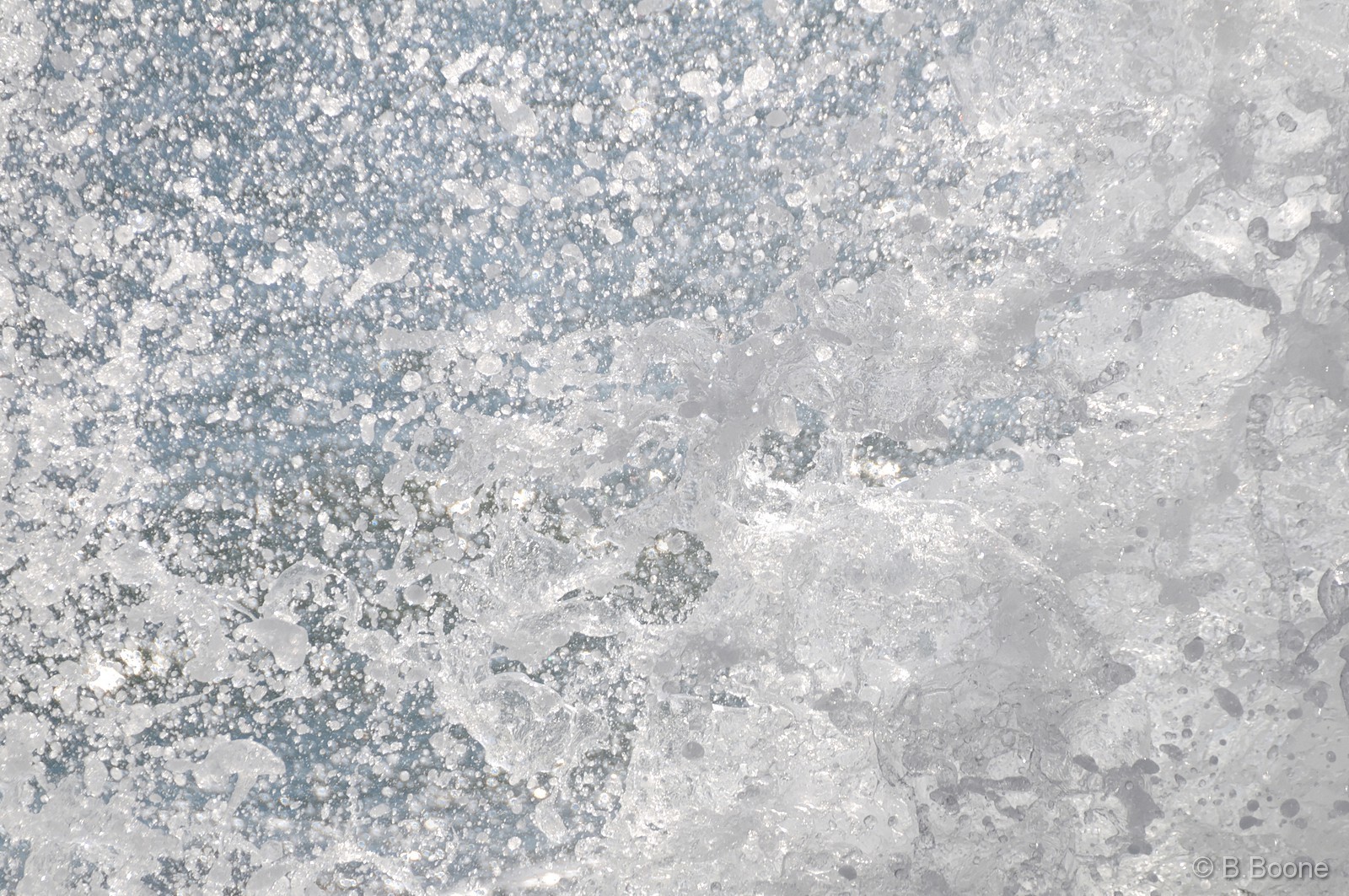 110209-0095©B.Boone