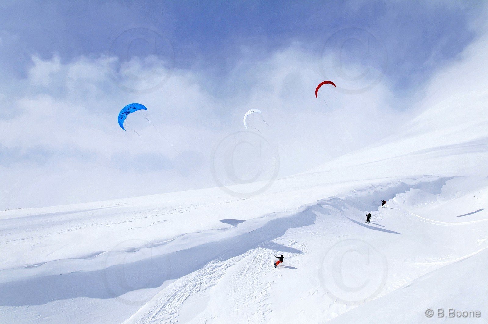 120226-0250©B.Boone