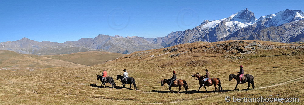 Cheval sur plateau d'Emparis