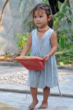 Vietnam   141007-108© B.Boone