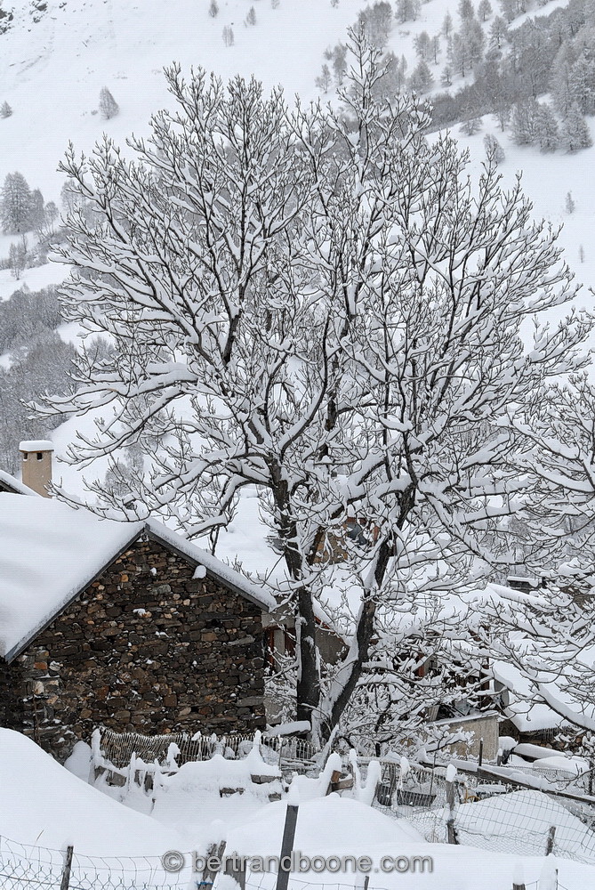 Les Hières (La Grave) - Hautes Alpes (05) - France
