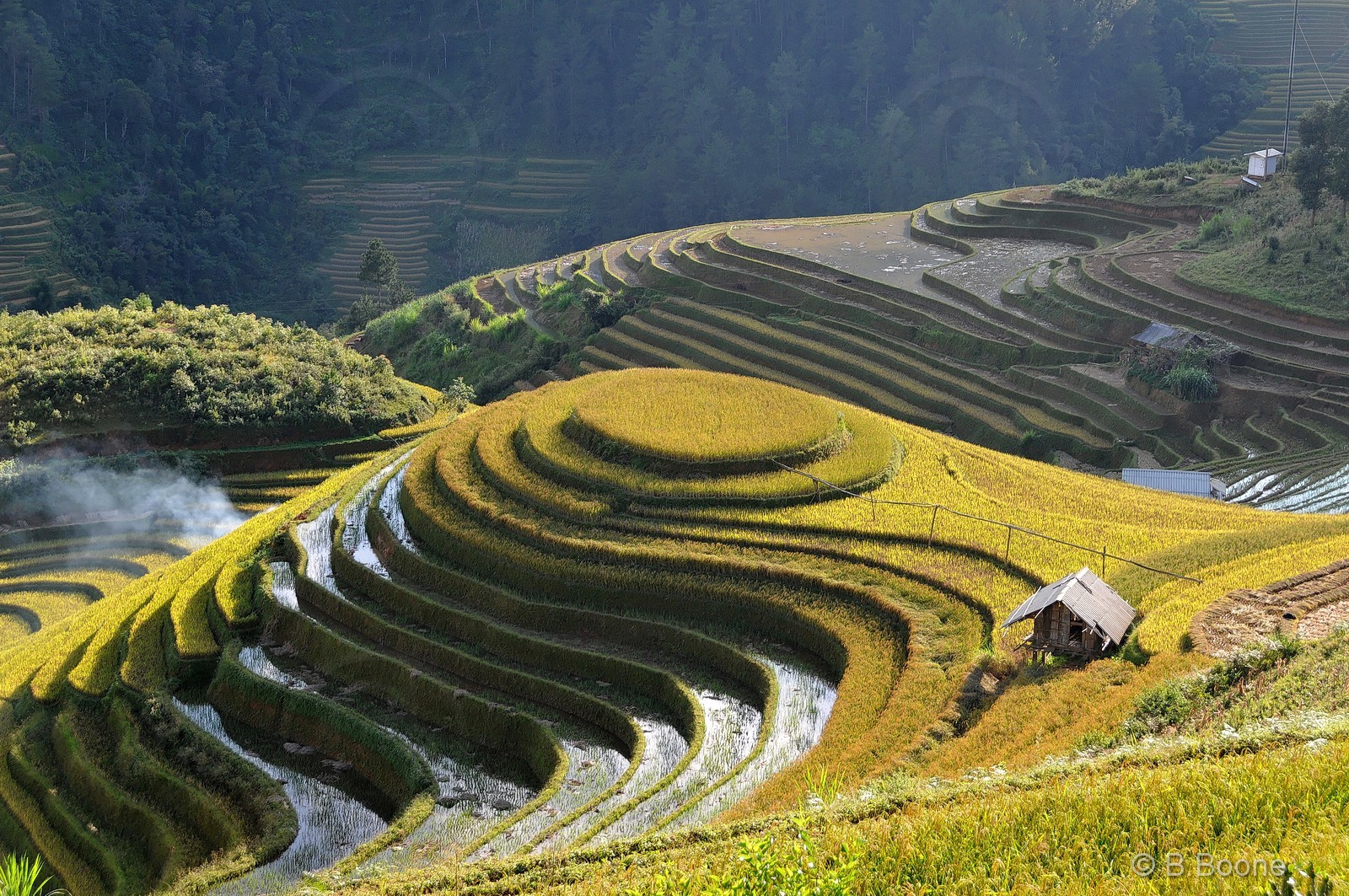 Vietnam   141003-285© B.Boone