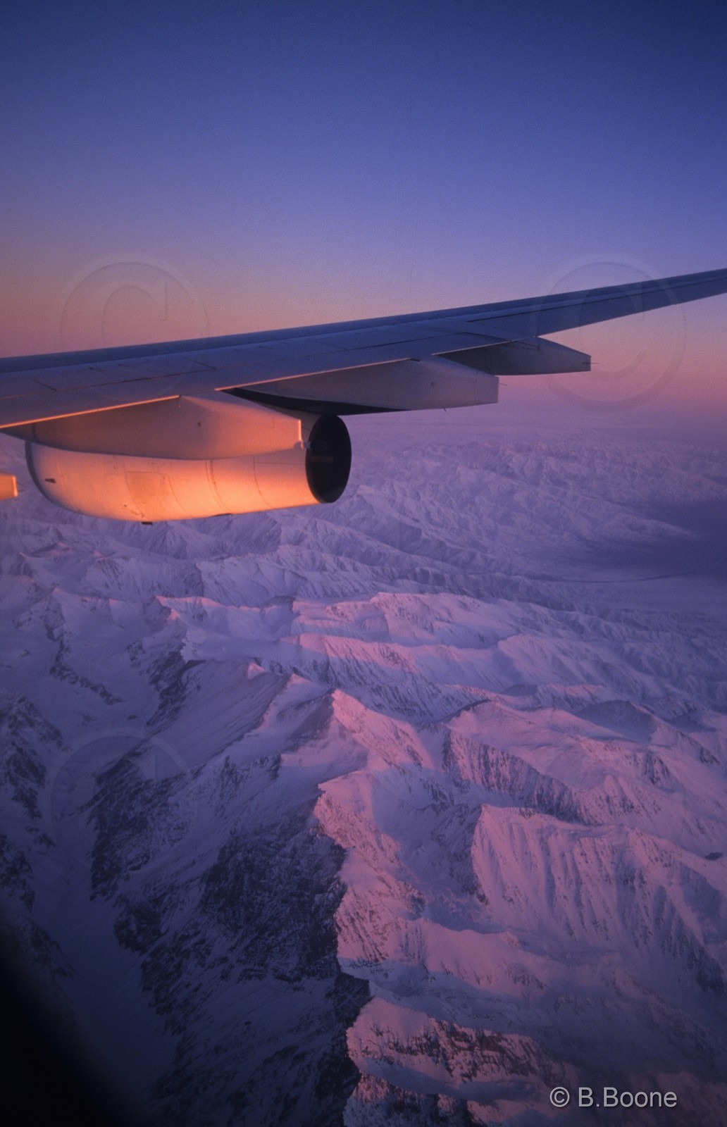 Chili   817scan©B.Boone