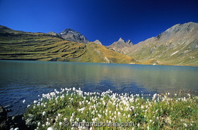 Au Pays de La Meije-Hautes Alpes-France