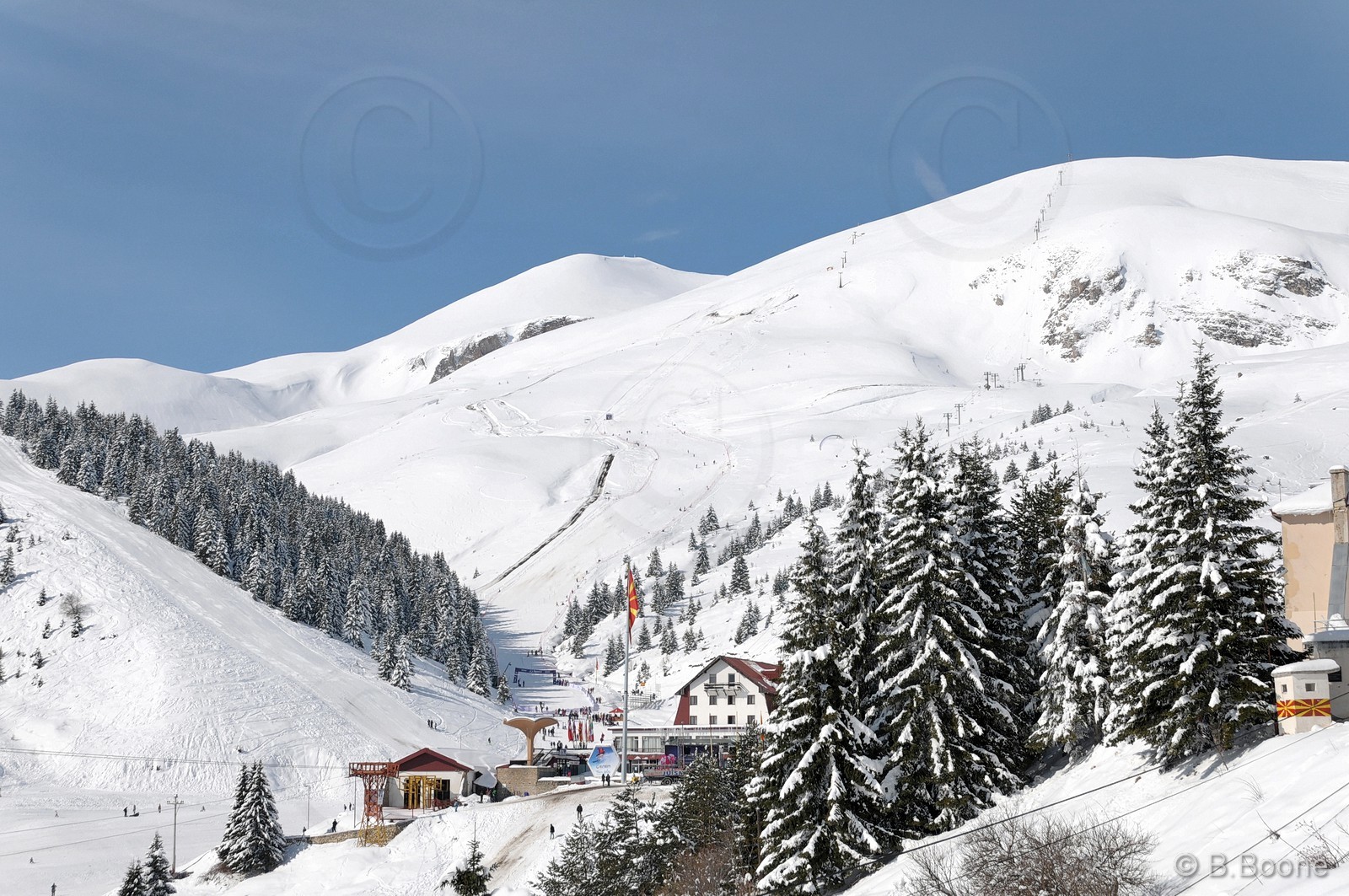 110227-0059©B.Boone