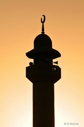 Koweit   130303-238© B.Boone