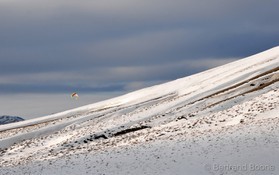 trip snowkite USA