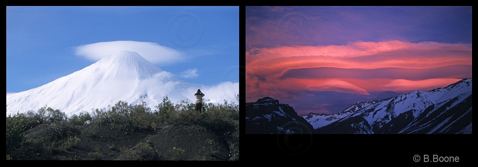 Chili   739scan©B.Boone