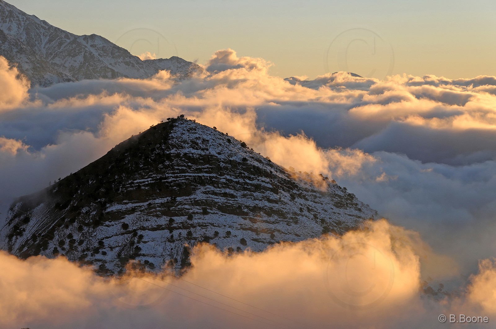 110203-0275©B.Boone