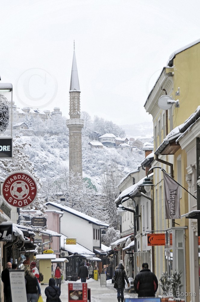 120123-0060©B.Boone