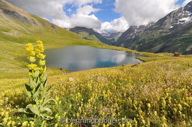 Lac du Pontet  (La Grave 05)